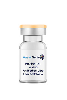 Anti-Human CD195 (CCR5) In Vivo Antibody - Ultra Low Endotoxin