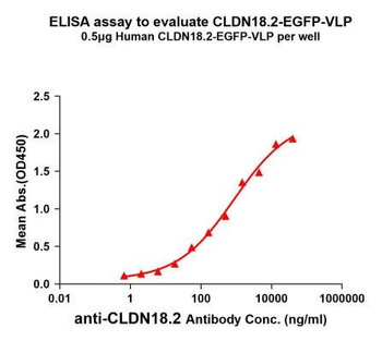 Fluorescent Human CLDN18.2 Full-Length Bioactive Membrane Protein (EGFP) (HDFP129)