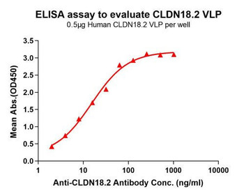 Human CLDN18.2 Full-Length Bioactive Membrane Protein (HDFP133)