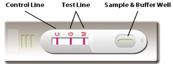 Cellex SARS-CoV-2 IgG/IgM Cassette Rapid Test