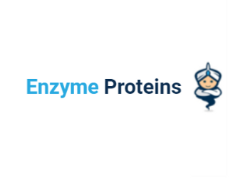 Enzymes Recombinant Proteins