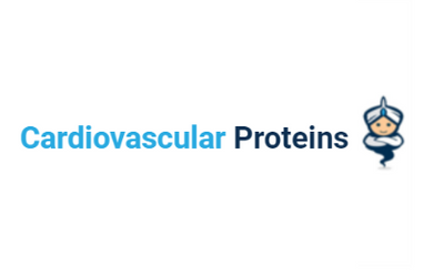 Cardiovascular Recombinant Proteins