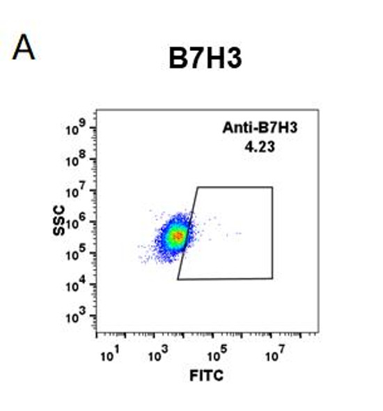 Anti-B7-H3 enoblituzumab biosimilar mAb HDBS0010