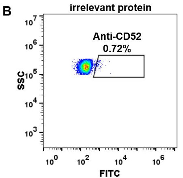 Anti-CD52 alemtuzumab biosimilar mAb HDBS0030