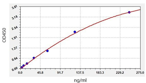 Human Immunology ELISA Kits 13 Human anti-SARS-CoV2 N IgG ELISA Kit HUFI03462