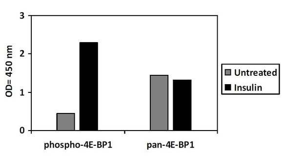 Human/Mouse Phospho-4E-BP1 T36 PharmaGenie ELISA Kit SBRS1736