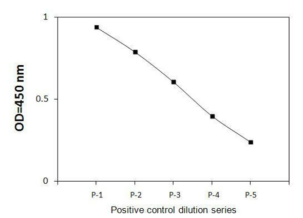 Human Phospho-CDK1 T161 and Total CDK1 PharmaGenie ELISA Kit SBRS1771