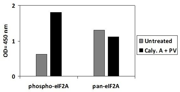 Human and Mouse Phospho-EGFR Y992 and Total EGFR PharmaGenie ELISA Kit SBRS1798