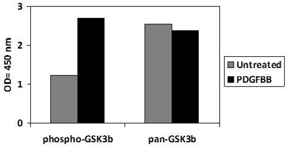 Human/Mouse/Rat Phospho-GSK3b S9 and Total GSK3b PharmaGenie ELISA Kit SBRS1845