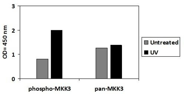 Human/Mouse/Rat Phospho-MKK3 S189 and Total MKK3 PharmaGenie ELISA Kit SBRS1897