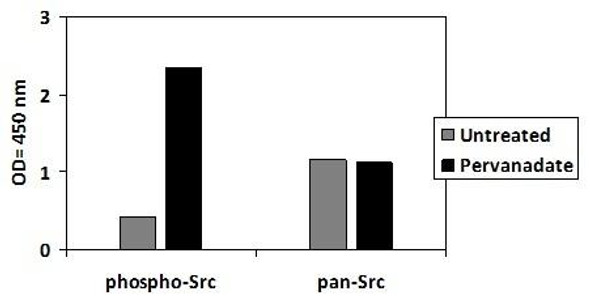 Human Phospho-SRC Y419 and Total SRC PharmaGenie ELISA Kit SBRS1979