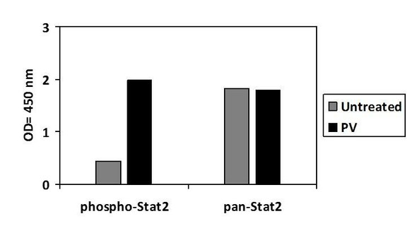 Human Phospho-STAT2 Y689 and Total STAT2 PharmaGenie ELISA Kit SBRS1985