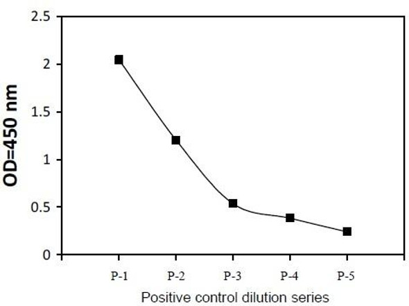 Human and Mouse Phospho-TYK2 Y1054 and Total TYK2 PharmaGenie ELISA Kit SBRS2010