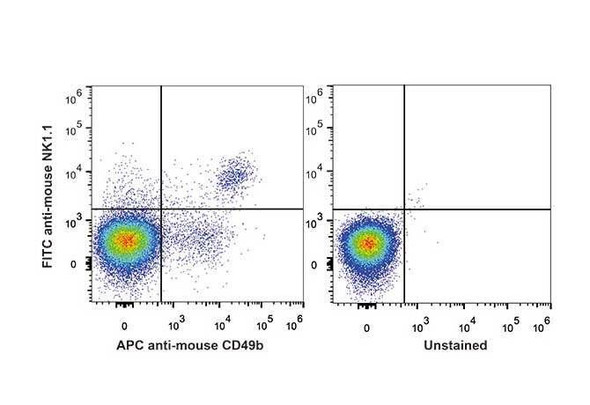 FITC Anti-Mouse CD161/NK1.1 Antibody [PK136] (AGEL0012)