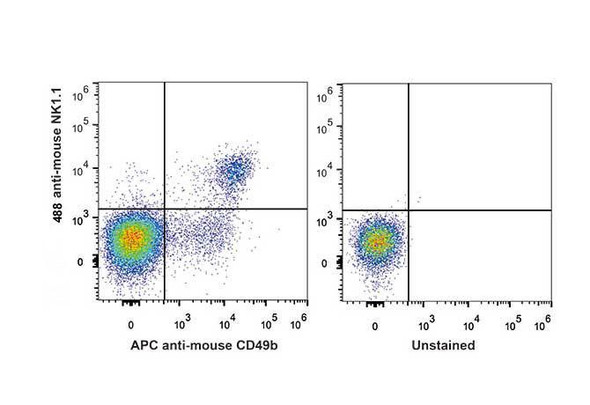 GenieFluor 488 Anti-Mouse CD161/NK1.1 Antibody [PK136] (AGEL0017)