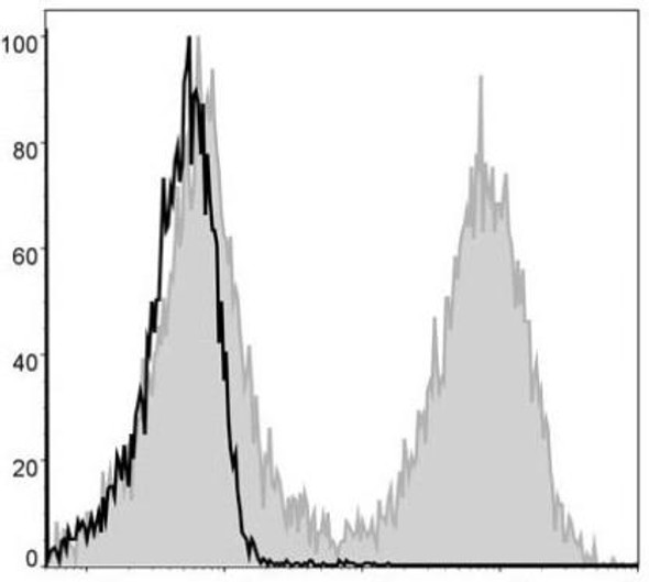 FITC Anti-Mouse MHC II (I-A/I-E) Antibody [M5/114] (AGEL0020)