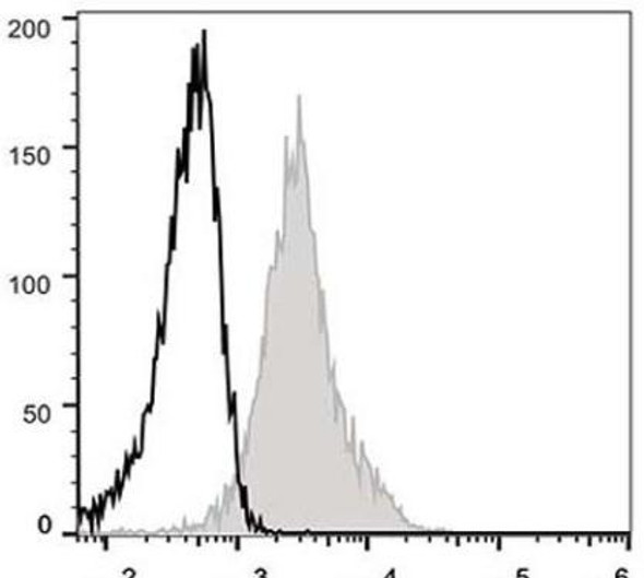 GenieFluor 488 Anti-Mouse CD54 Antibody [YN1/1.7.4] (AGEL0121)