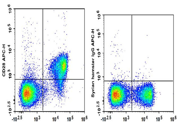 APC Anti-Mouse CD28 Antibody [37.51] (AGEL0138)