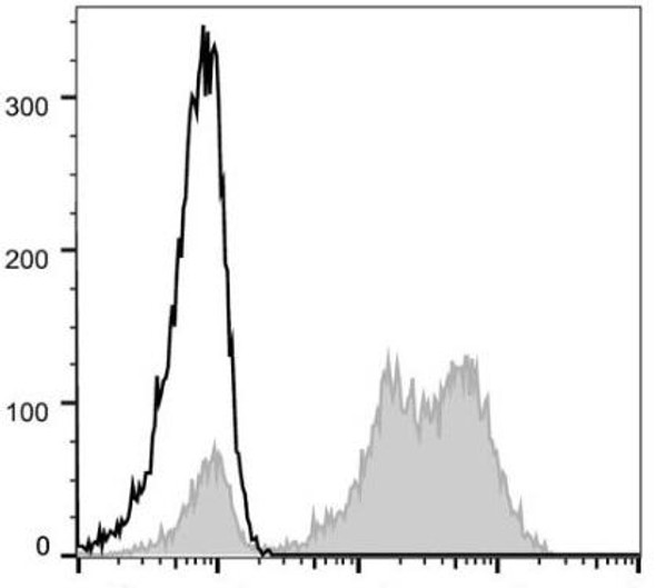 GenieFluor 488 Anti-Human CD5 Antibody [UCHT2] (AGEL0191)