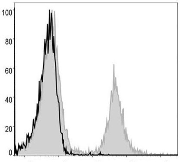 PE Anti-Mouse CD4 Antibody [GK1.5] (AGEL0356)