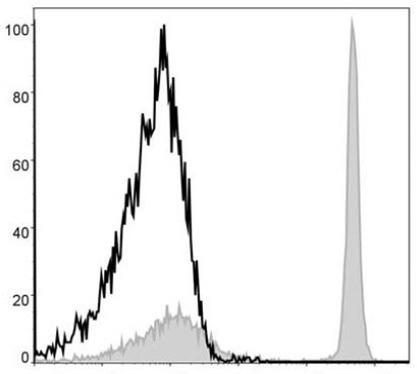 APC Anti-Mouse CD4 Antibody [GK1.5] (AGEL0357)