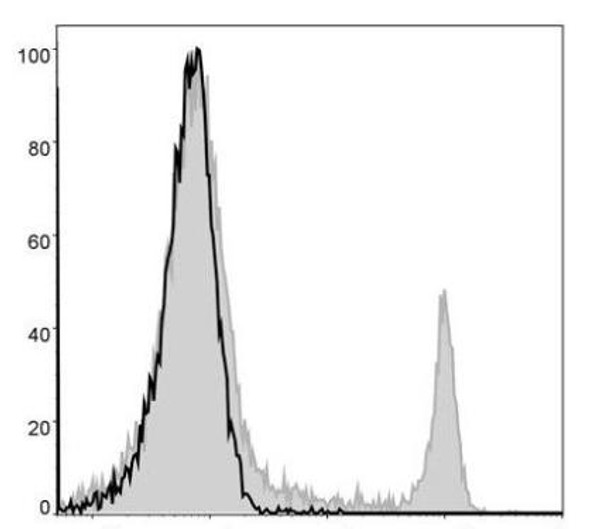 GenieFluor 488 Anti-Mouse CD8a Antibody [53-6.7] (AGEL0385)