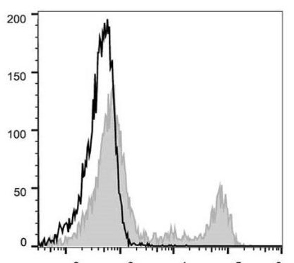 PE Anti-Rat CD4 (domain 1) Antibody [OX-38] (AGEL0388)