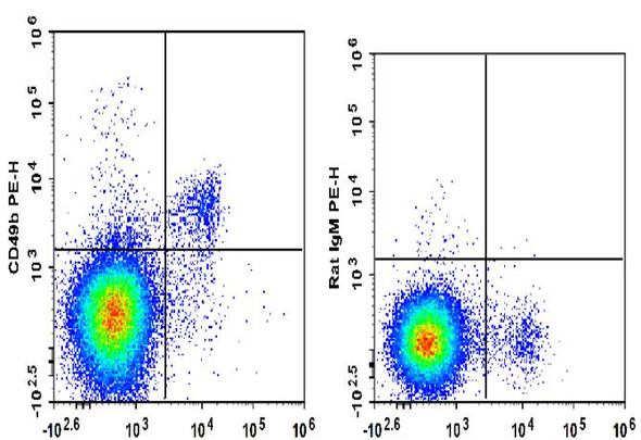 PE Anti-Mouse CD49b Antibody [DX5] (AGEL0438)