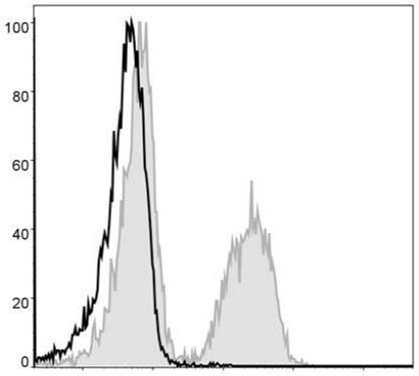 PE Anti-Mouse CD19 Antibody [1D3] (AGEL0470)