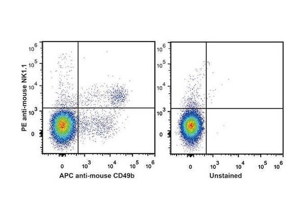 PE Anti-Mouse CD161/NK1.1 Antibody [PK136] (AGEL0485)