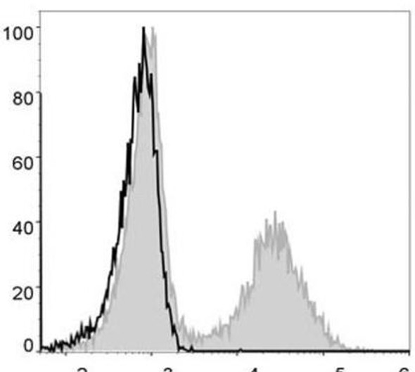 GenieFluor 488 Anti-Mouse MHC II (I-A/I-E) Antibody [M5/114] (AGEL0507)