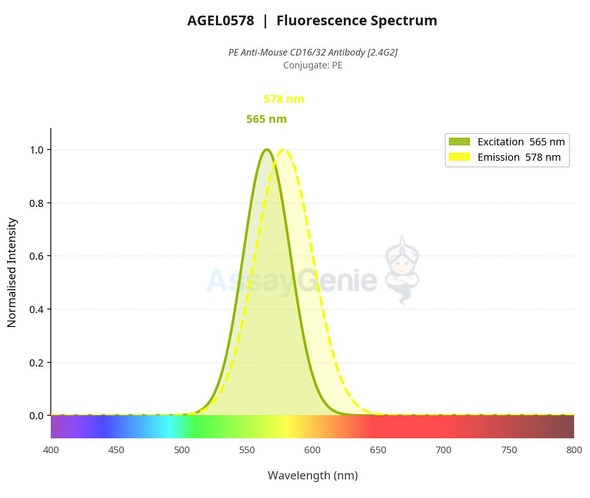 PE Anti-Mouse CD16/32 Antibody [2.4G2] (AGEL0578)