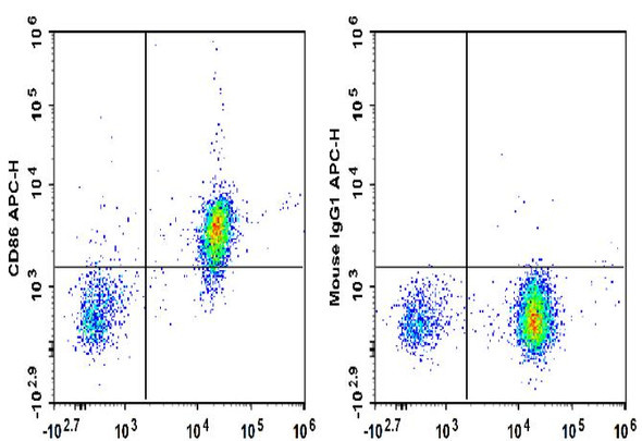 APC Anti-Human CD86 Antibody [BU63] (AGEL0645)