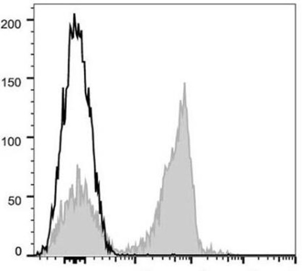 APC Anti-Mouse CD3 Antibody [17A2] (AGEL0657)