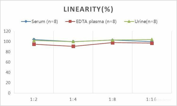 Samples were spiked with high concentrations of Human T and diluted with Reference Standard & Sample Diluent to produceSamples with values within the range of the assay.