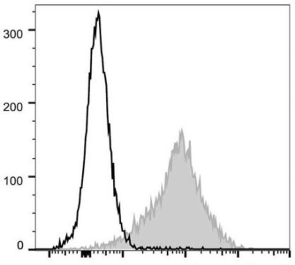 PE/Cyanine5 Anti-Mouse CD54 Antibody [YN1/1.7.4] (AGEL0714)