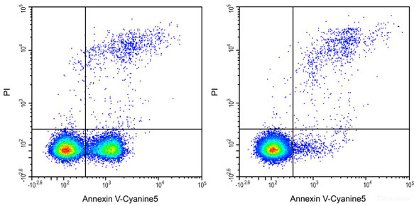 Annexin V-Cyanine5/PI Apoptosis Kit