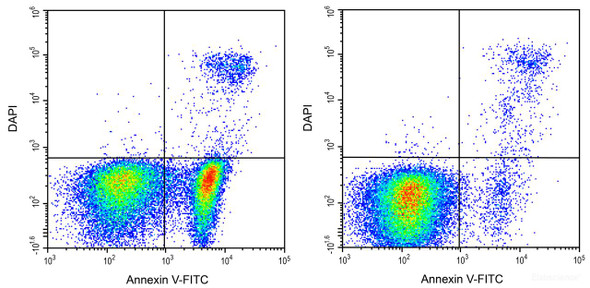 Annexin V-FITC/DAPI Apoptosis Kit