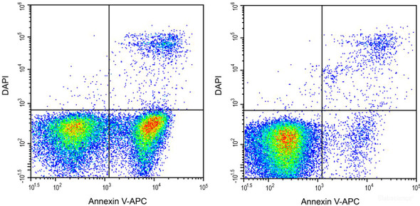 Annexin V-APC/DAPI Apoptosis Kit