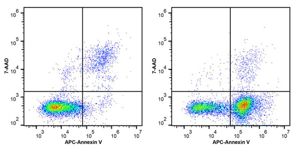 Jurkat cells were treated with 5 μM Camptothecin and detected by this reagent and Annexin V-APC.