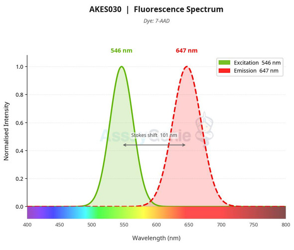7-AAD Viability Staining Solution (100μg/mL) (AKES030)