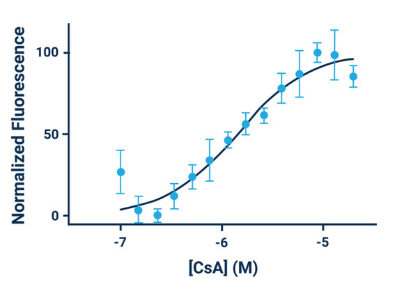 Figure 2. Cyclosporine A (CsA) dose response curve generated from fluorescence data collected from CHO-K1 cells. Fluorescence (Ex: 495 nm, Em:515 nm) was recorded on a BioTek® Cytation 5 plate reader. Cells were incubated with Cyclosporine A for 30 min at 37 °C. Calcein was then added and cells were incubated for another 30 minutes at 37 °C. The estimated EC50 is 1.36 μM.
