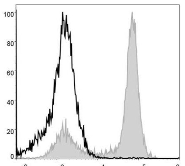 PerCP Anti-Mouse/Human CD11b Antibody [M1/70] (AGEL1107)