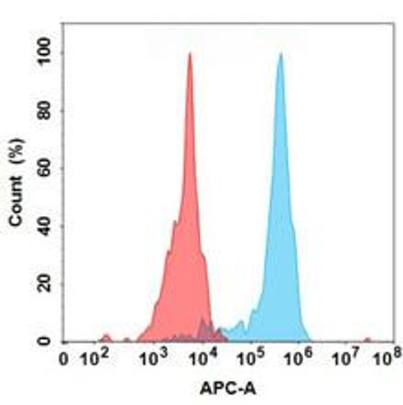 Pamrevlumab (Anti-CCN2) Biosimilar Antibody