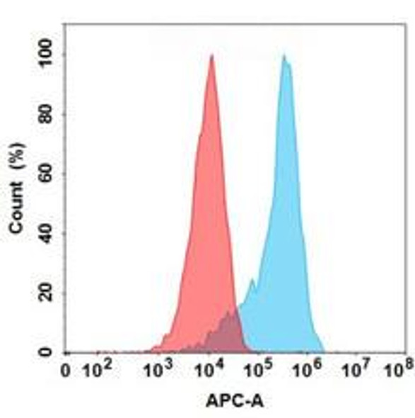 Pabinafusp Alfa (Anti-TFRC) Biosimilar Antibody