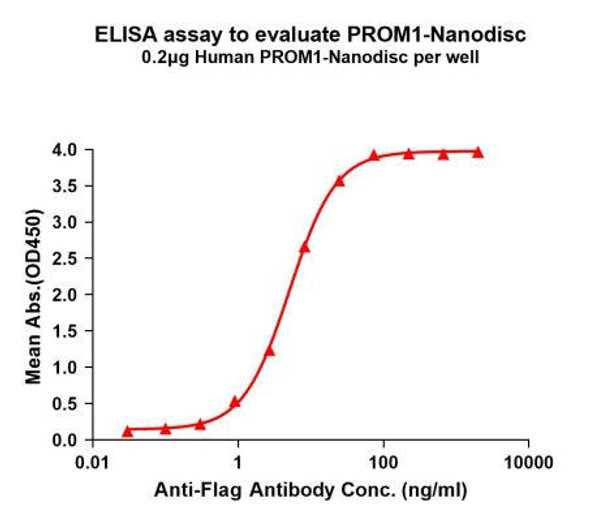 Human PROM1 Full-Length Bioactive Membrane Protein (HDFP027)