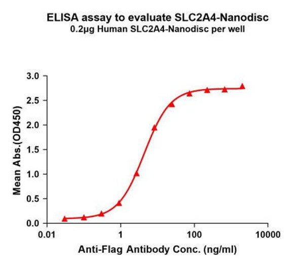 Human SLC2A4 Full-Length Bioactive Membrane Protein (HDFP045)