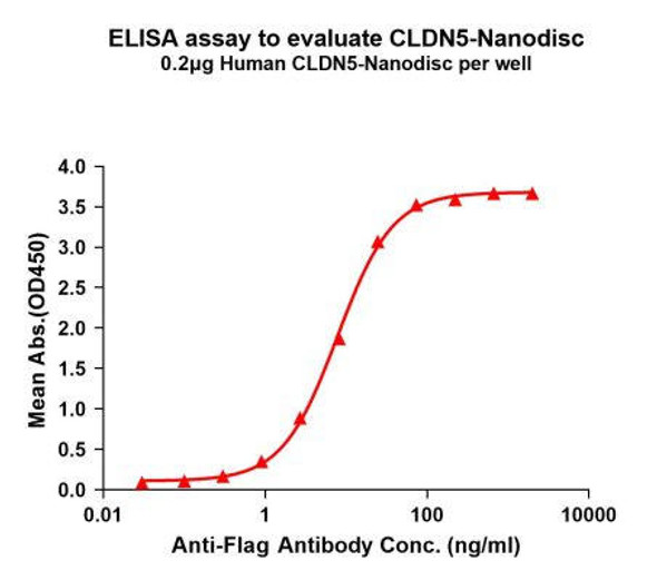 Human CLDN5 Full-Length Bioactive Membrane Protein (HDFP060)