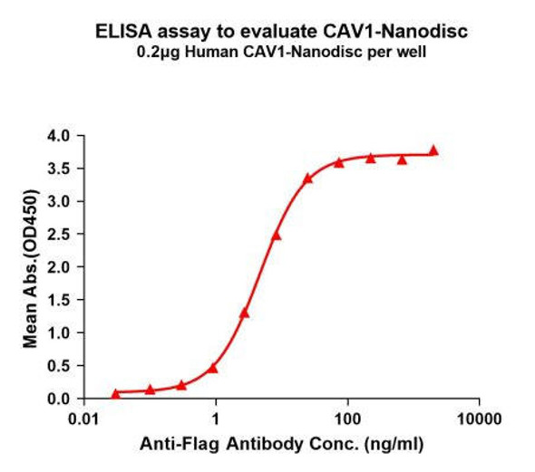 Human CAV1 Full-Length Bioactive Membrane Protein (HDFP123)