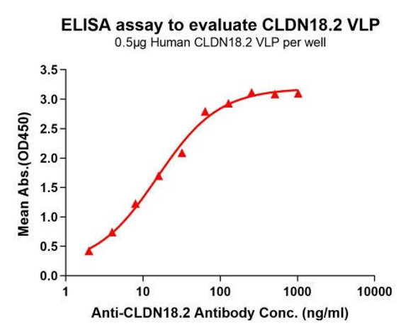 Human CLDN18.2 Full-Length Bioactive Membrane Protein (HDFP133)